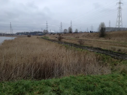 Plains of Zwijndrecht, Antwerp (Belgium)